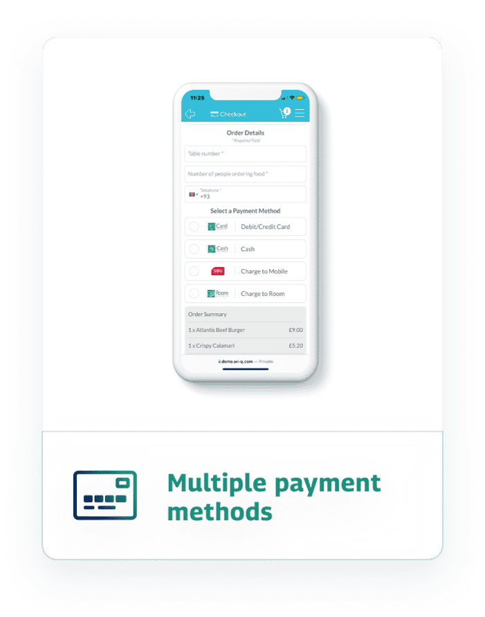 multiple payment method card